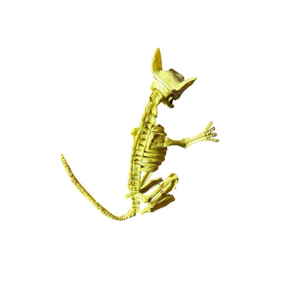 Skeleton Rat 7” Halloween Decoration - Adjustable Mouth and Arms - Picture 3 of 4